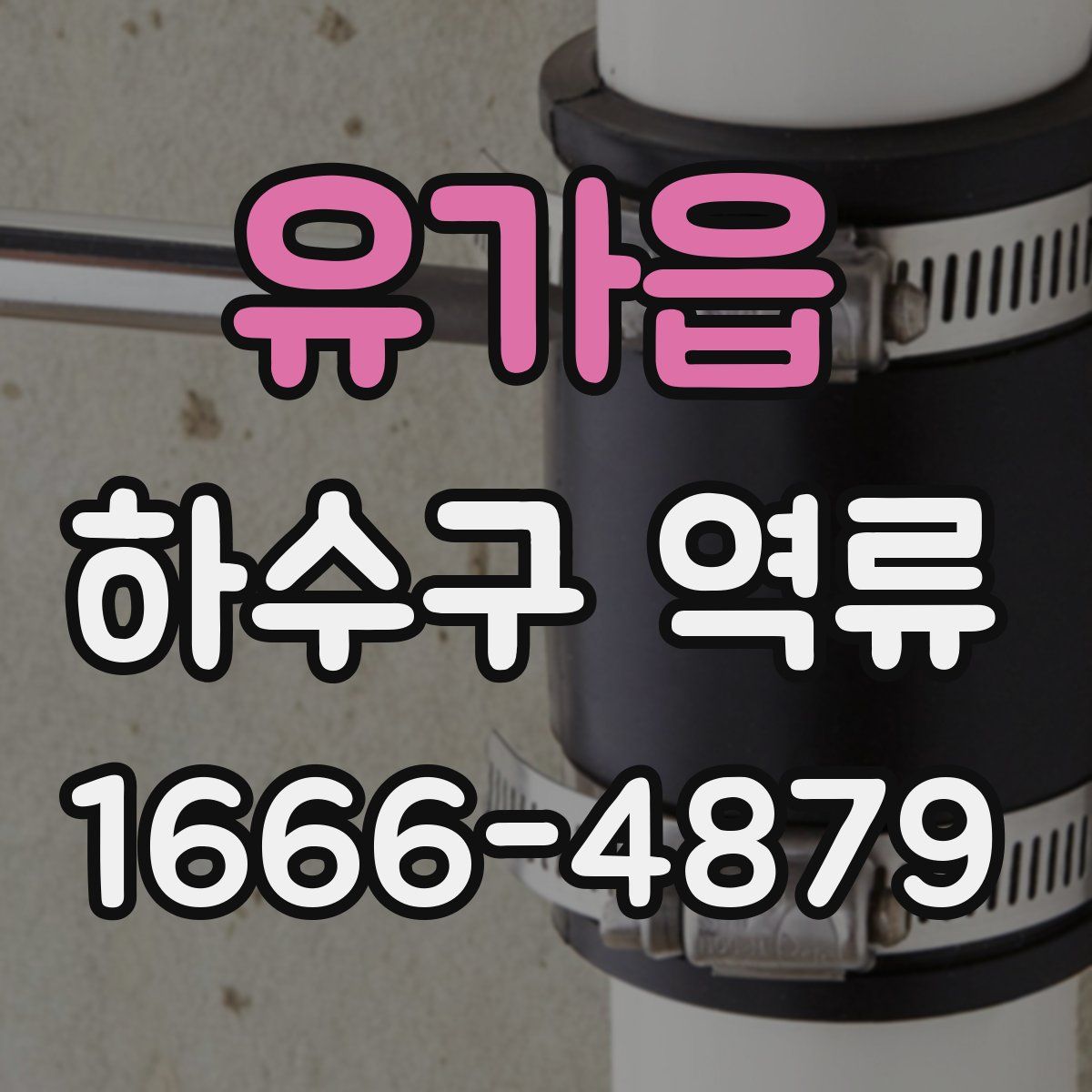 유가읍 하수구 역류