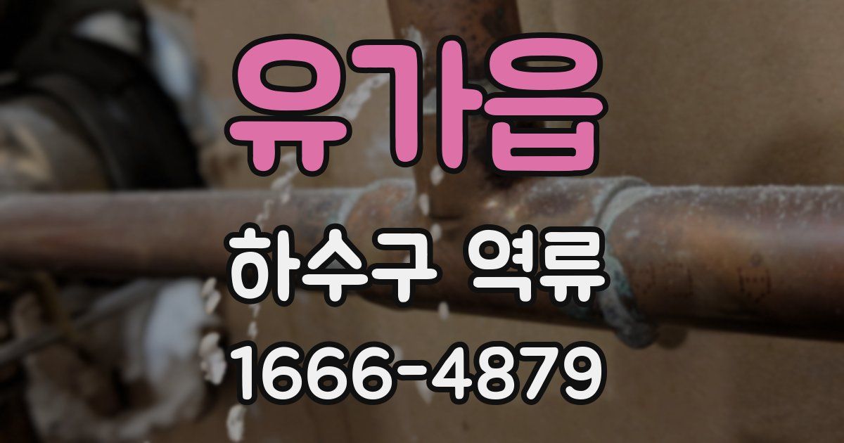 유가읍 하수구 역류
