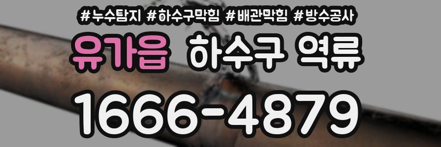 유가읍 하수구 역류