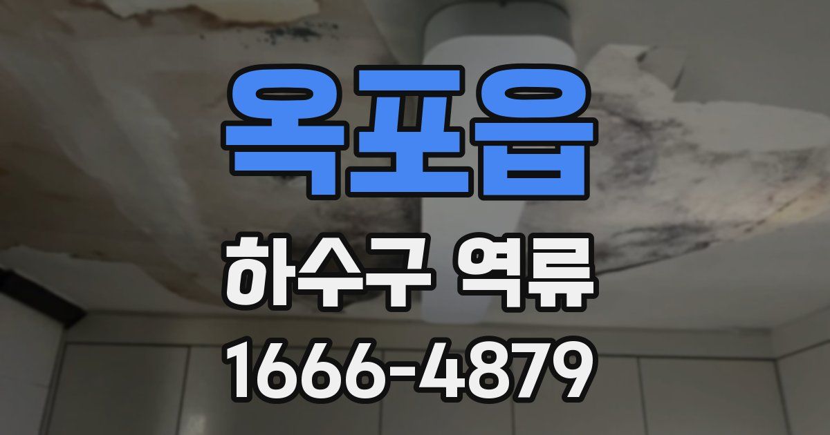 옥포읍 하수구 역류