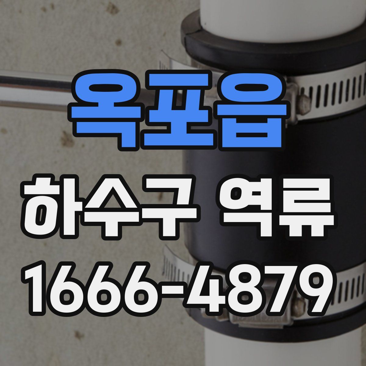 옥포읍 하수구 역류