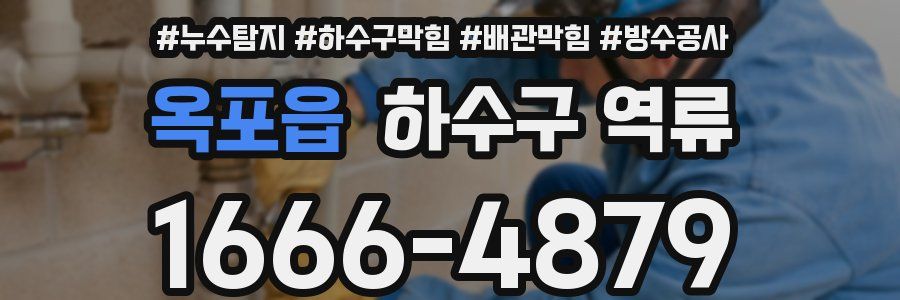 옥포읍 하수구 역류