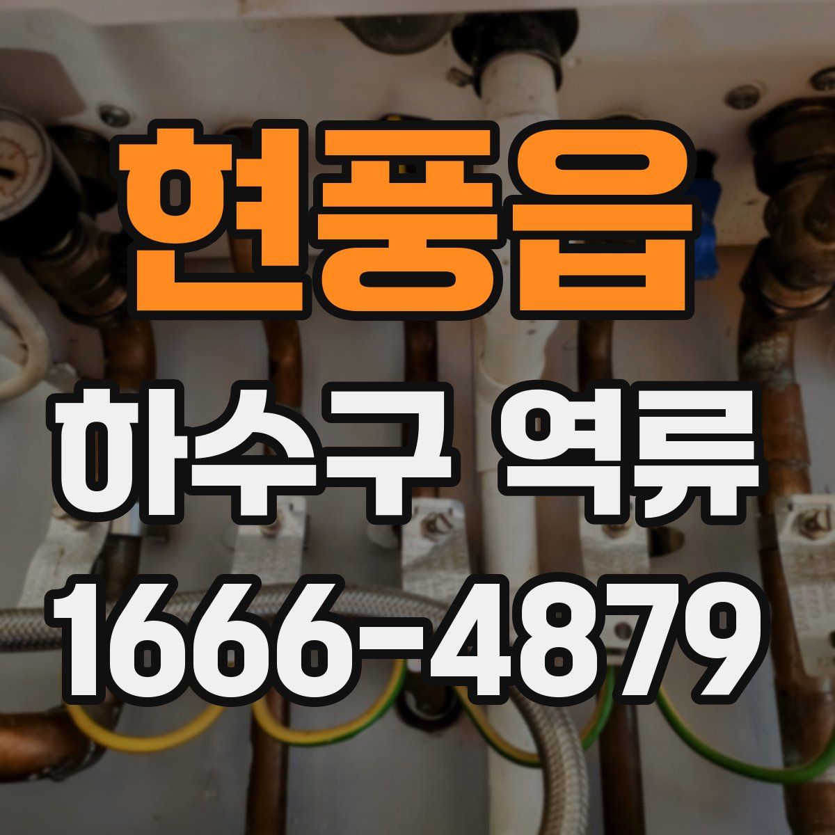 현풍읍 하수구 역류