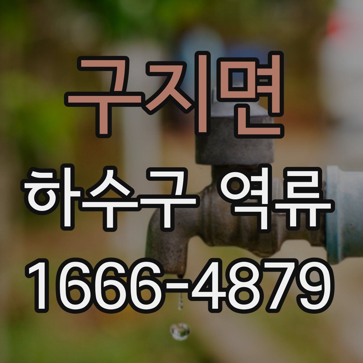 구지면 하수구 역류