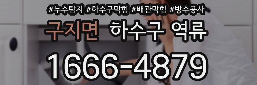 구지면 하수구 역류