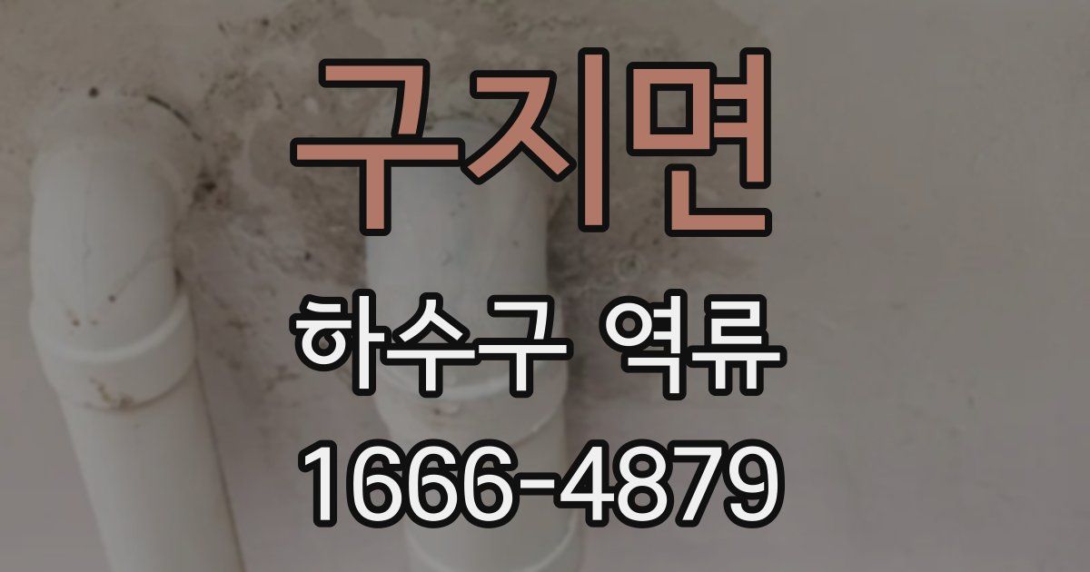 구지면 하수구 역류