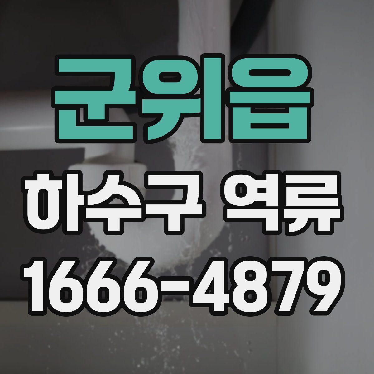 군위읍 하수구 역류