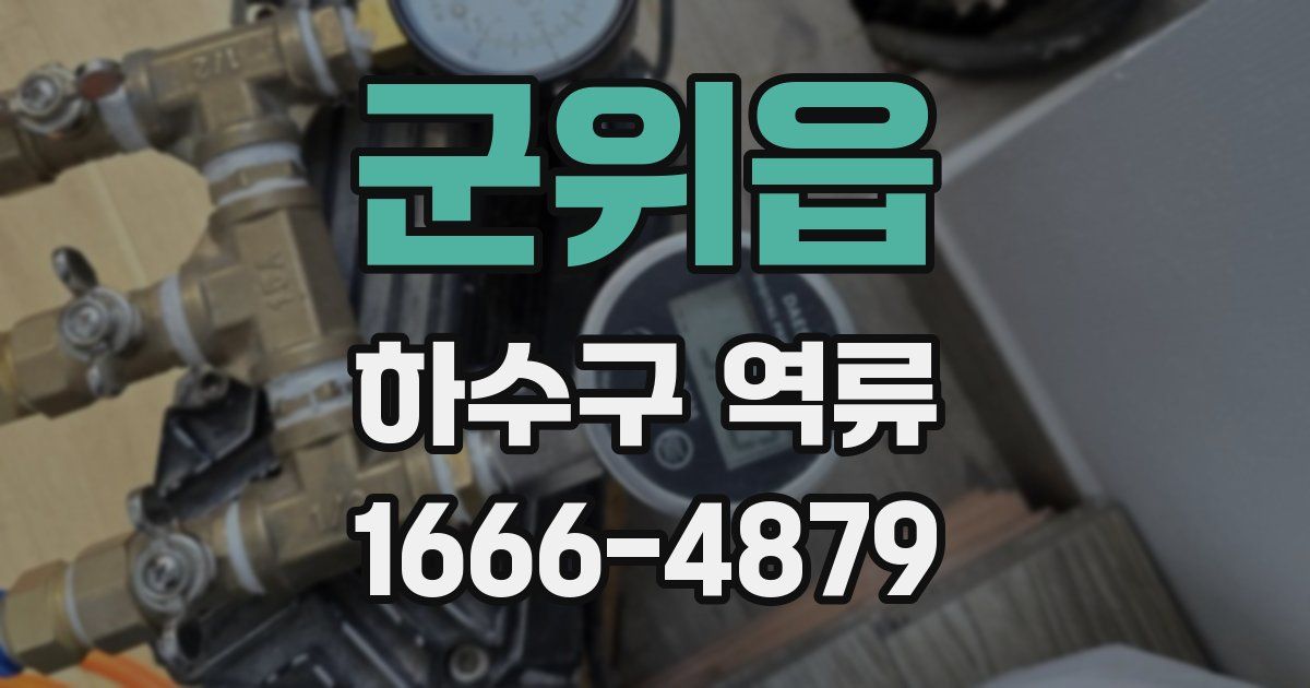 군위읍 하수구 역류