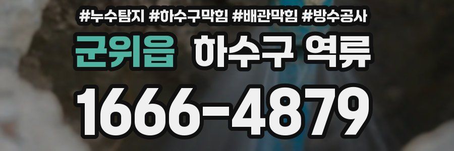 군위읍 하수구 역류