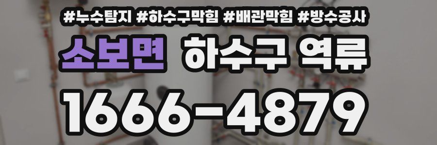 소보면 하수구 역류