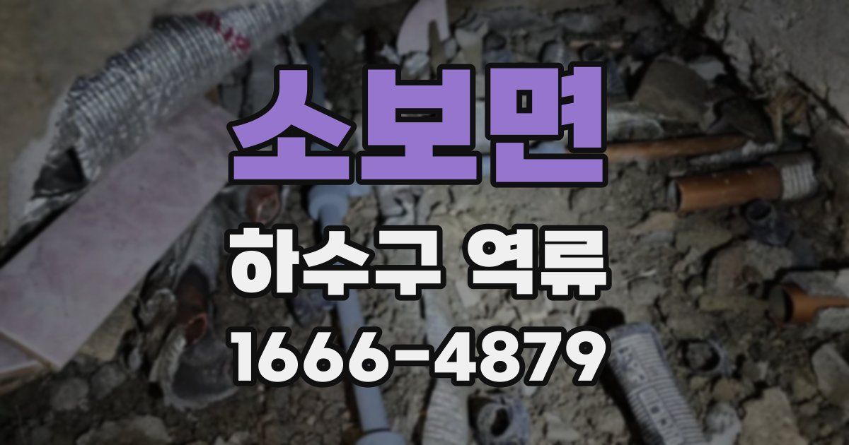 소보면 하수구 역류
