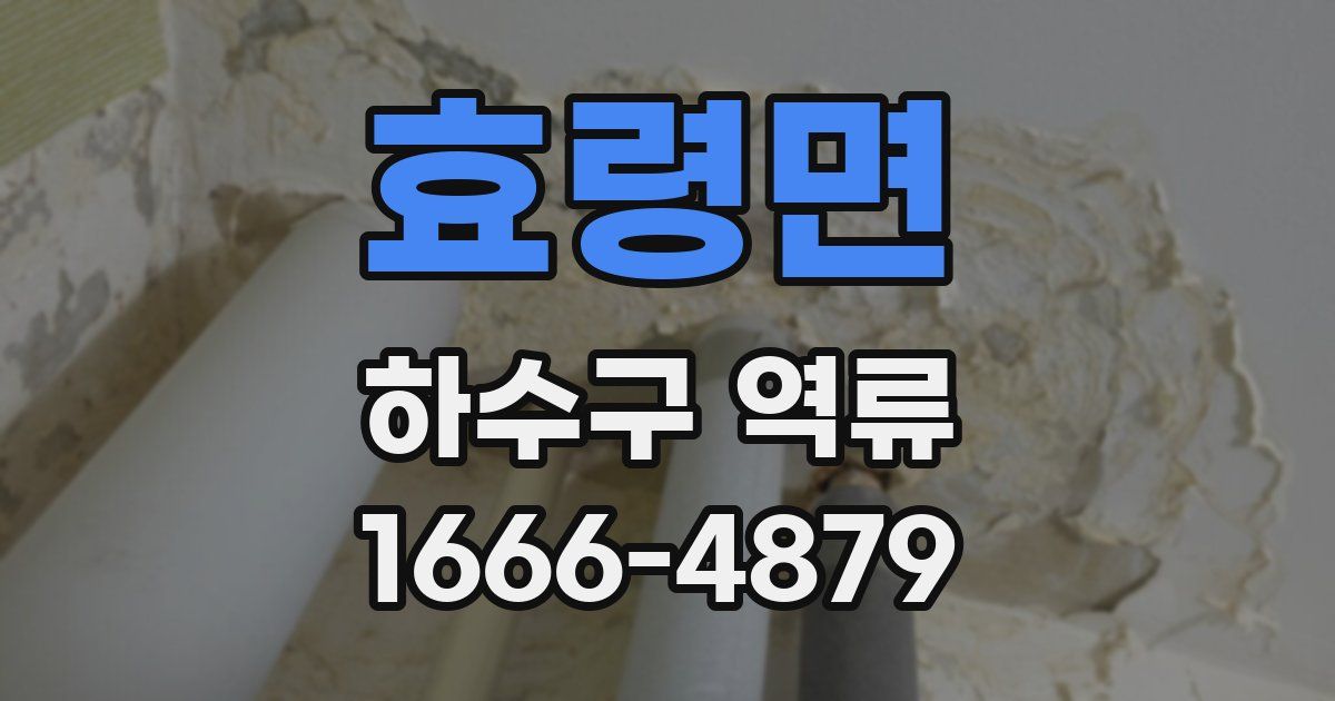 효령면 하수구 역류