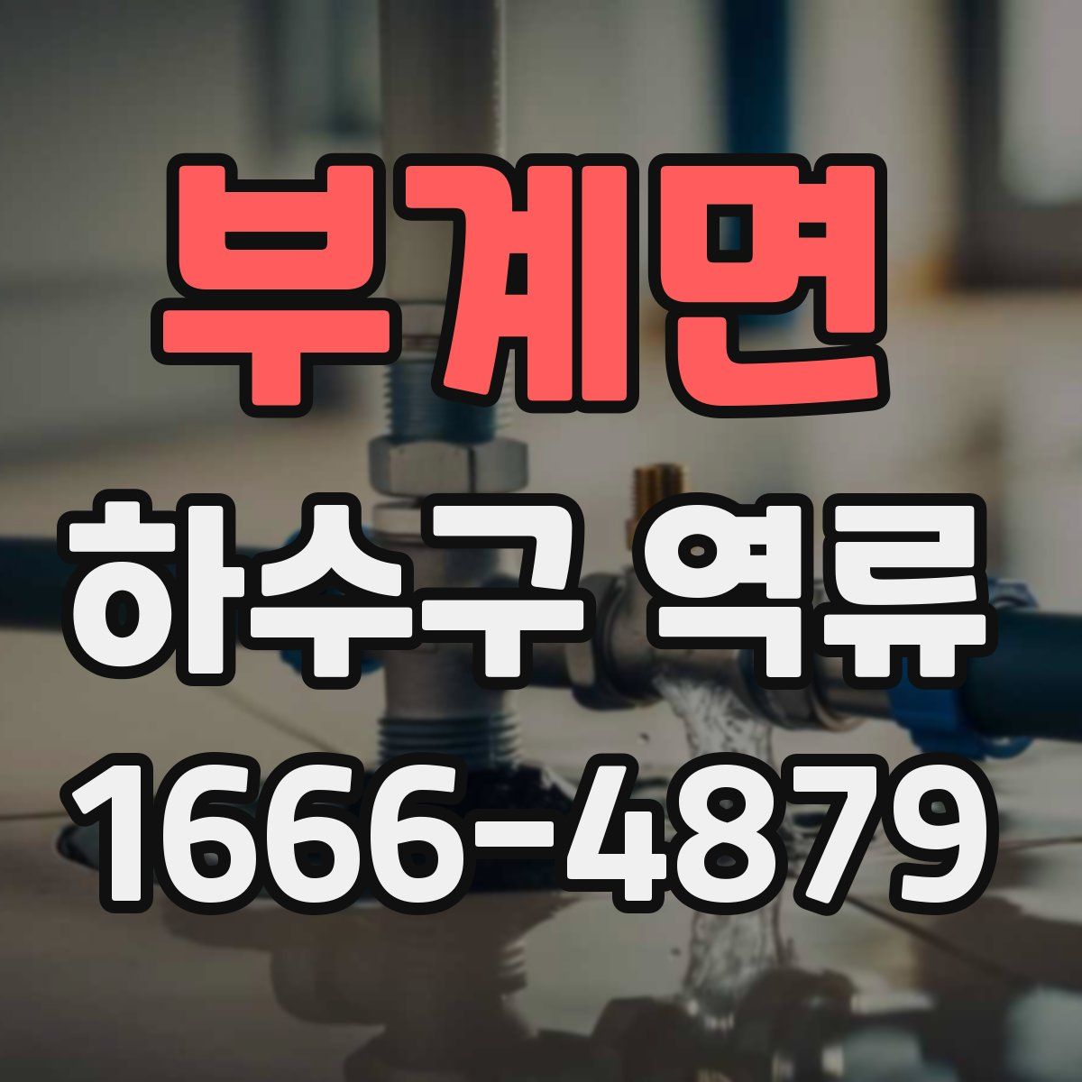부계면 하수구 역류
