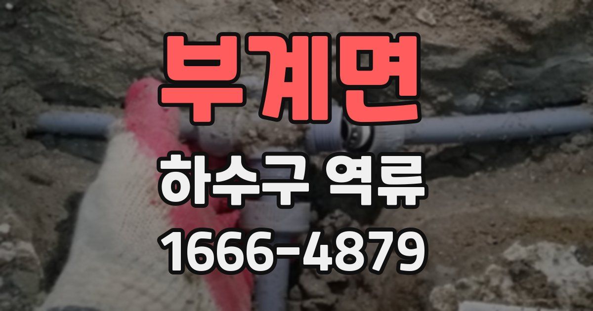 부계면 하수구 역류