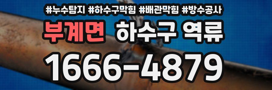 부계면 하수구 역류