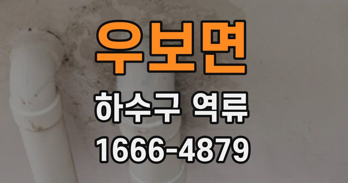 우보면 하수구 역류