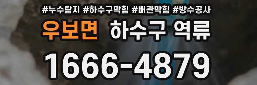 우보면 하수구 역류