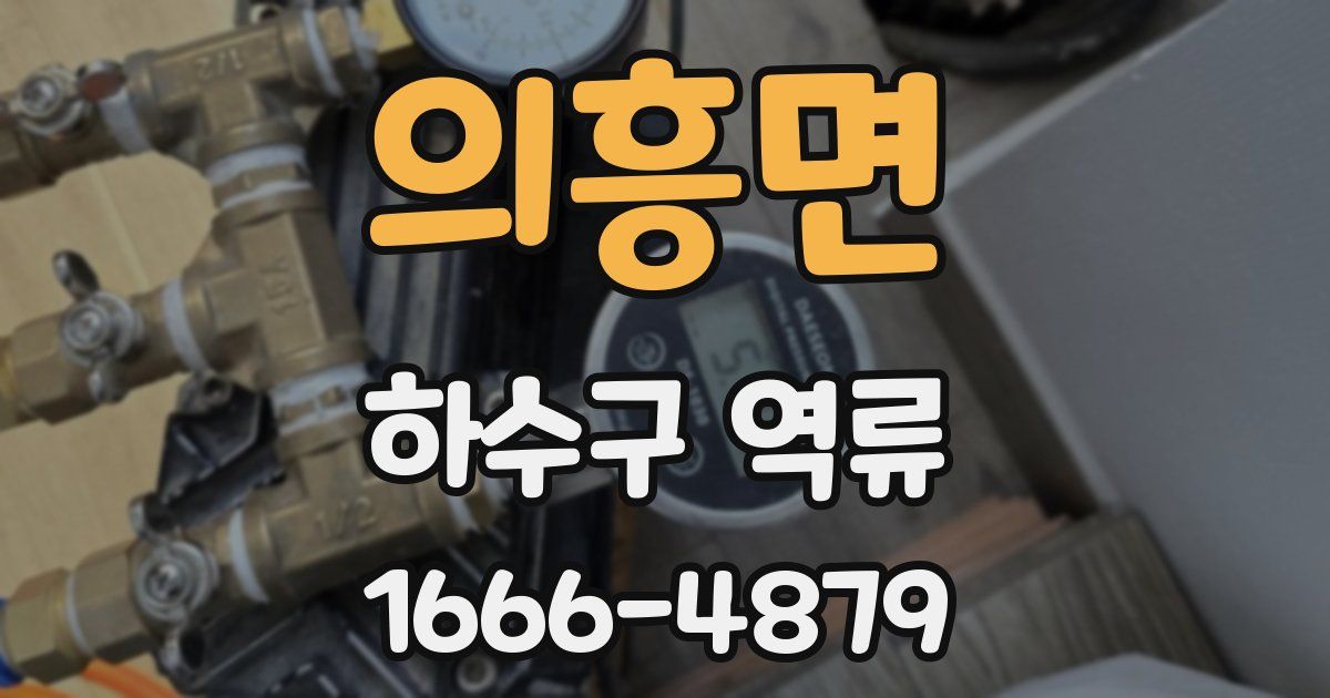 의흥면 하수구 역류