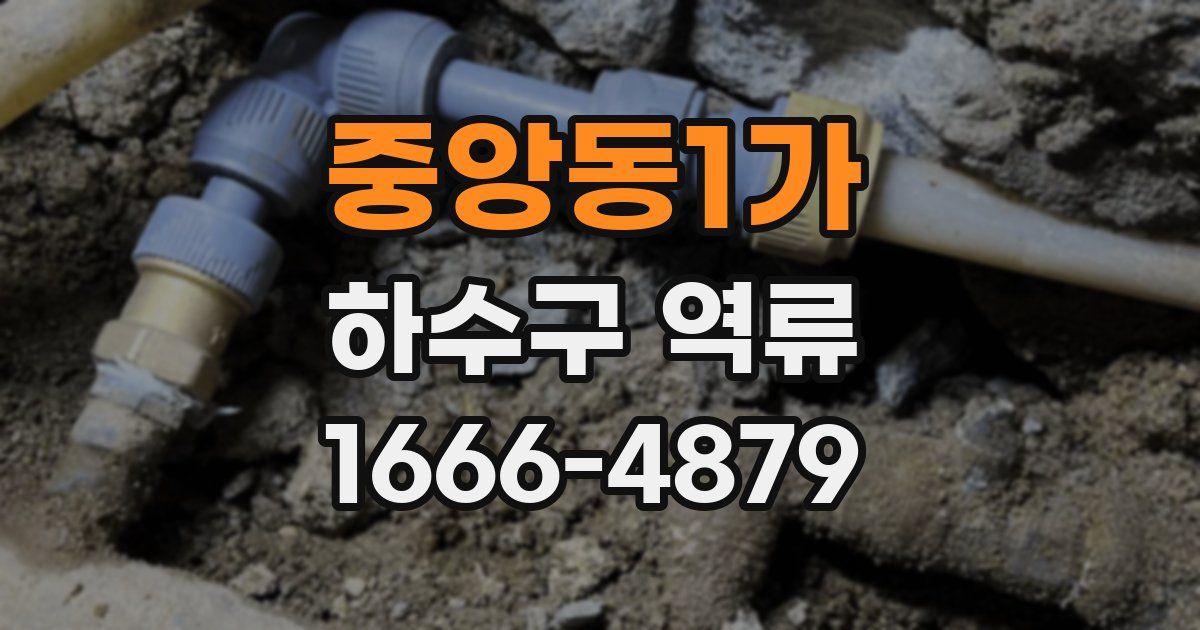 중앙동1가 하수구 역류