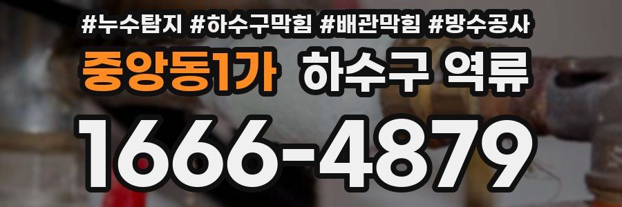 중앙동1가 하수구 역류