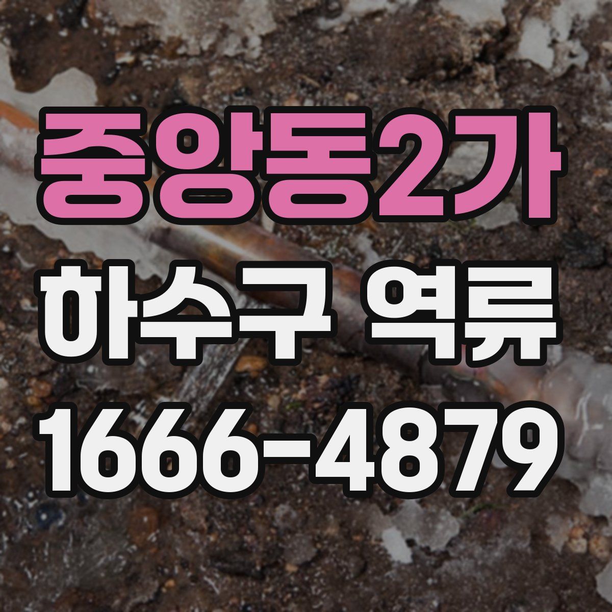 중앙동2가 하수구 역류