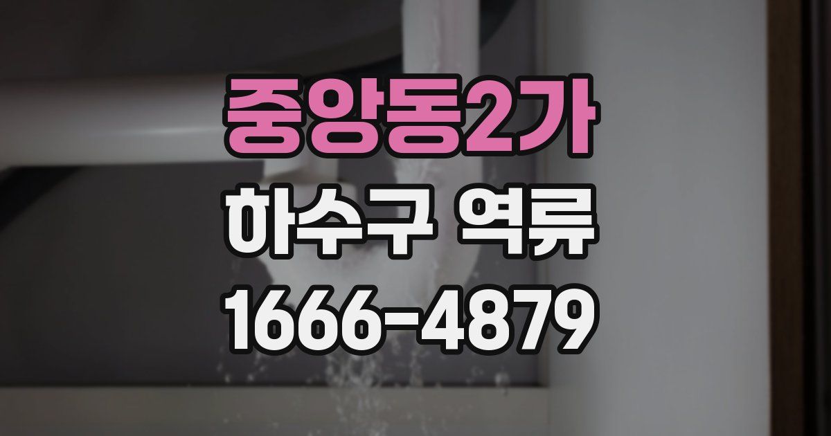 중앙동2가 하수구 역류