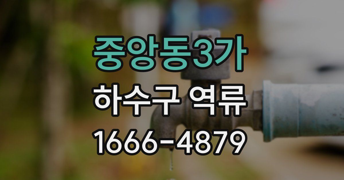 중앙동3가 하수구 역류
