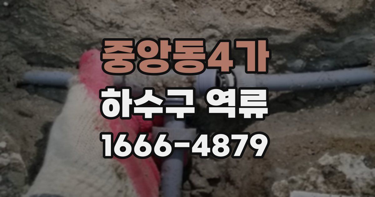 중앙동4가 하수구 역류