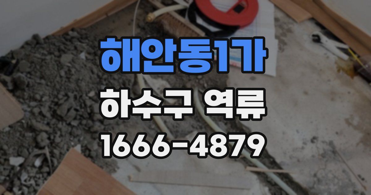 해안동1가 하수구 역류