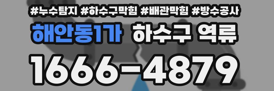해안동1가 하수구 역류