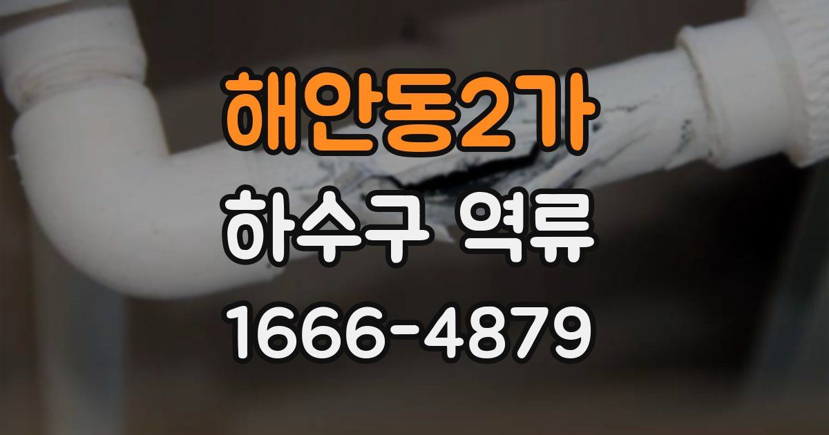해안동2가 하수구 역류