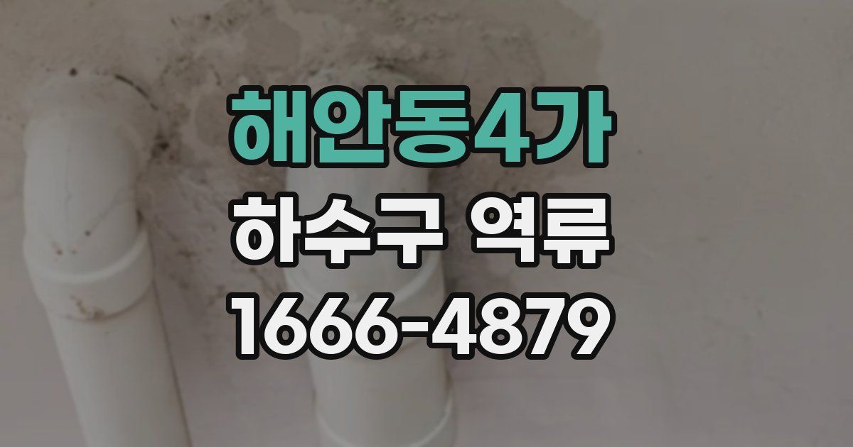해안동4가 하수구 역류