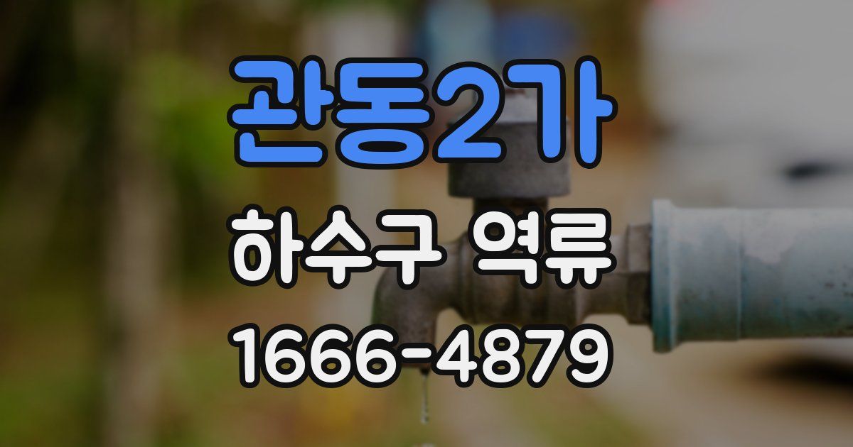관동2가 하수구 역류
