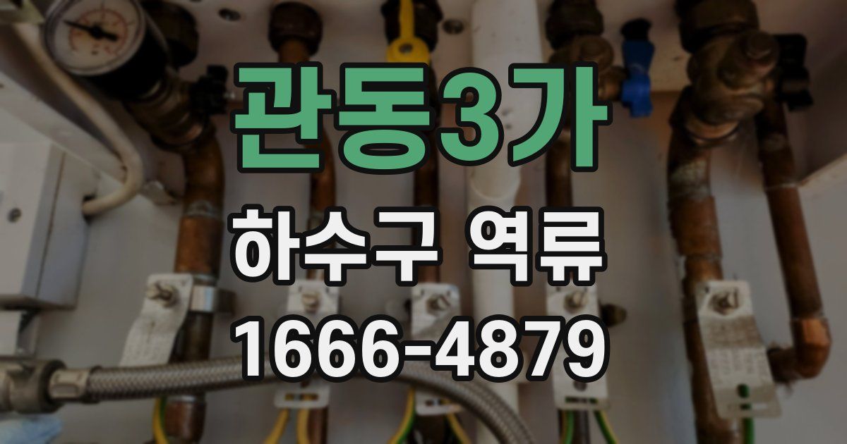 관동3가 하수구 역류