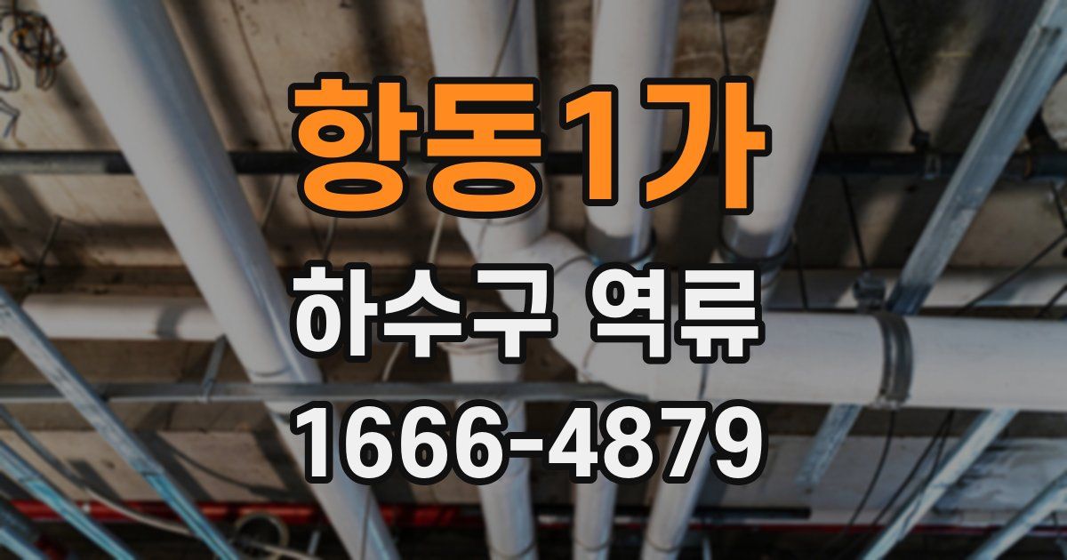 항동1가 하수구 역류
