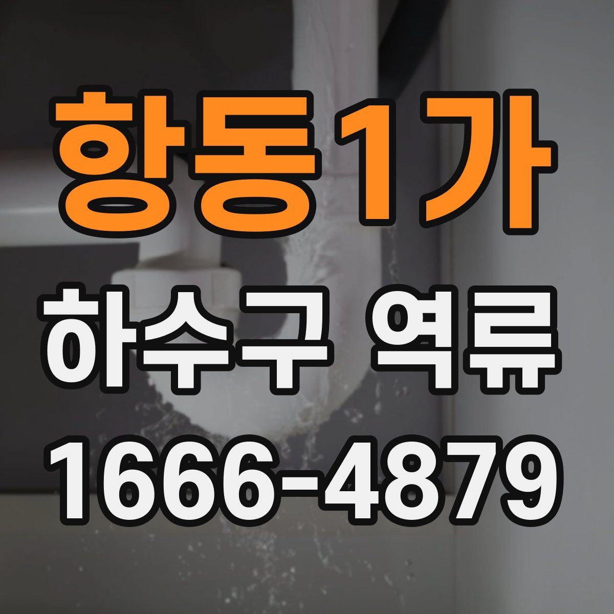 항동1가 하수구 역류