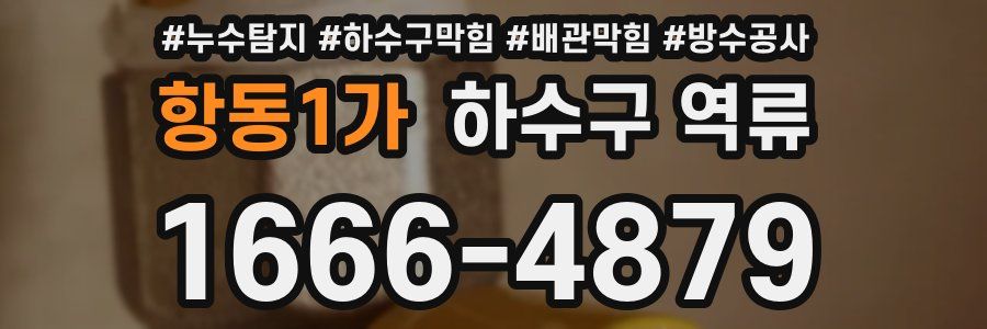항동1가 하수구 역류