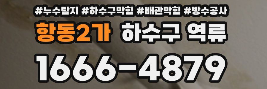 항동2가 하수구 역류