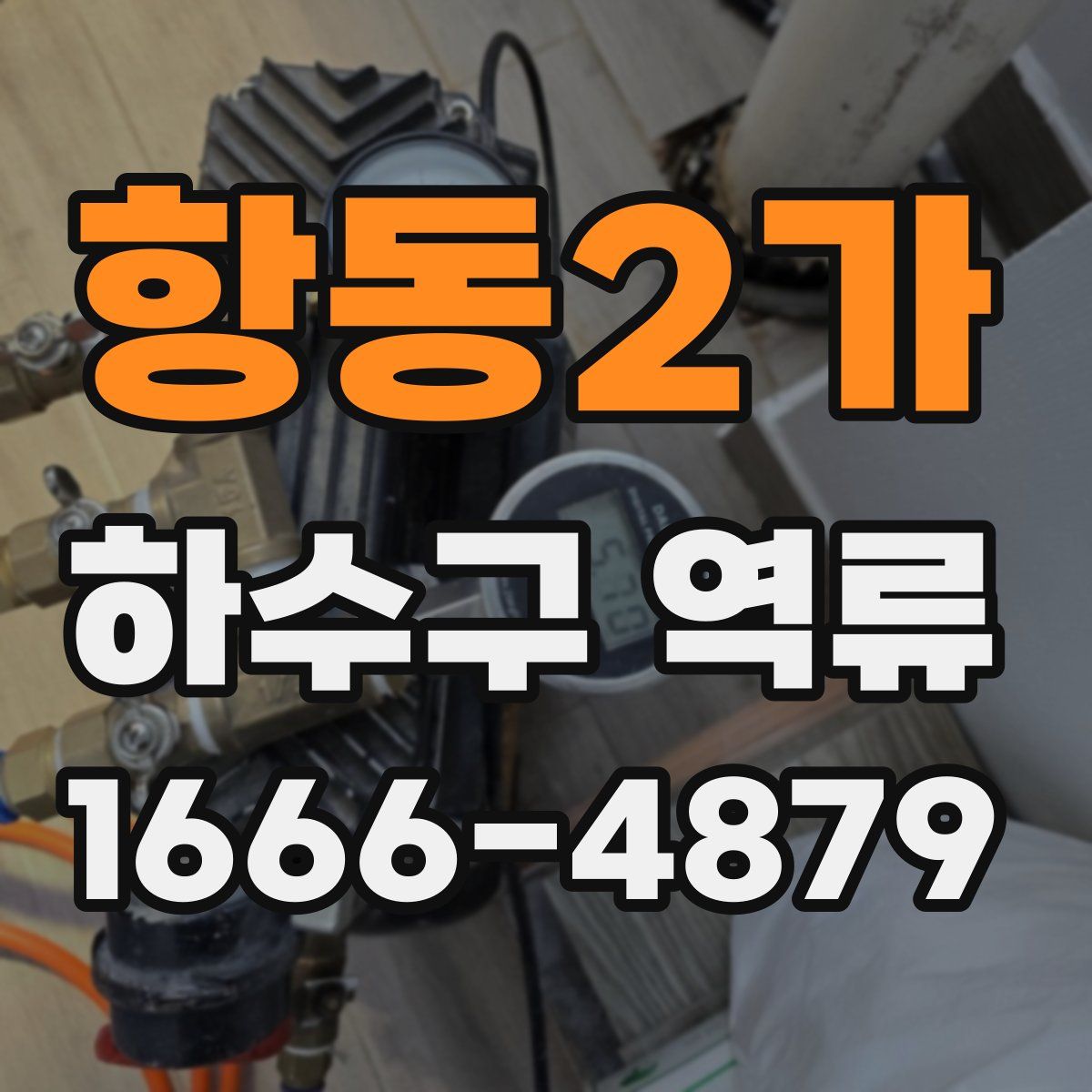 항동2가 하수구 역류