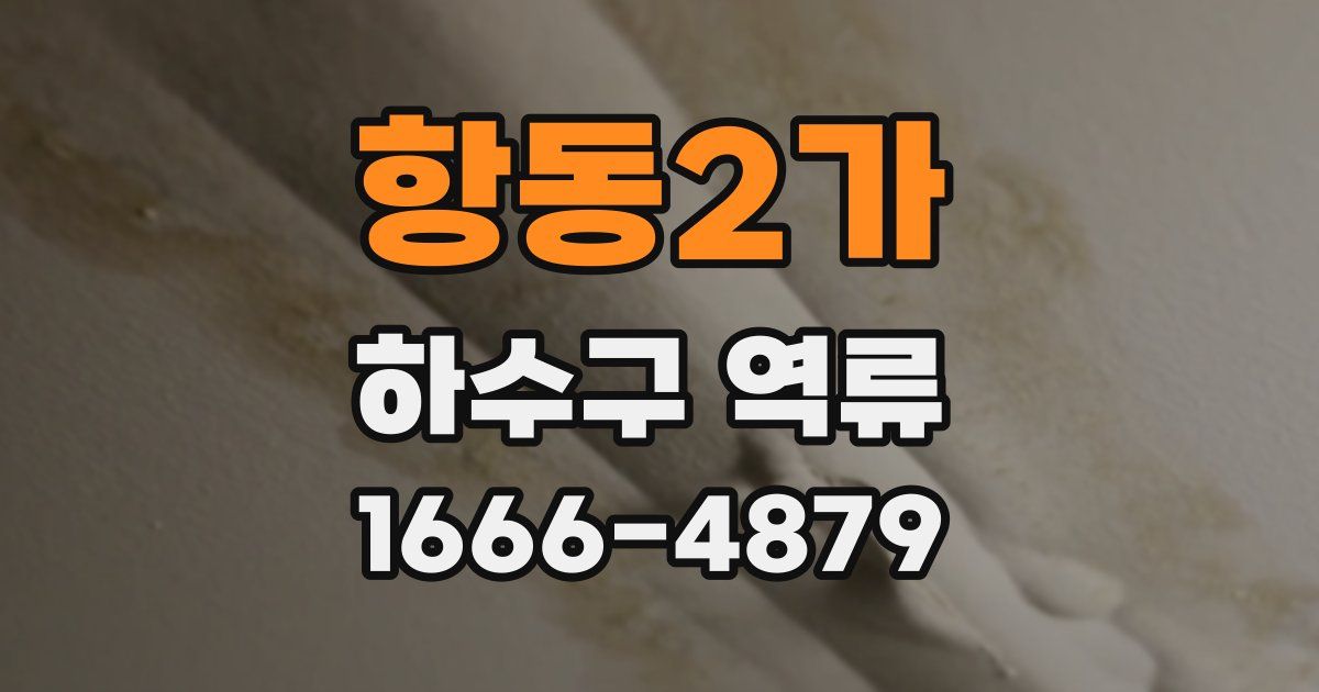 항동2가 하수구 역류