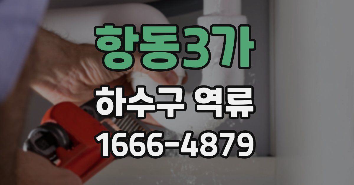 항동3가 하수구 역류