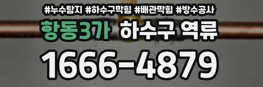 항동3가 하수구 역류