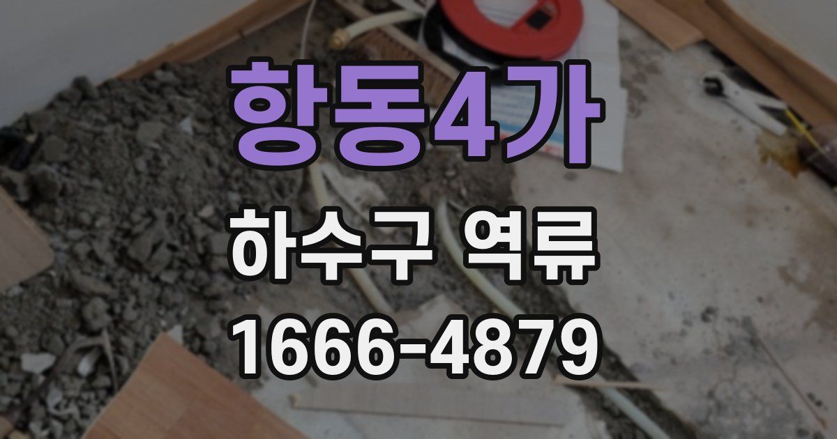 항동4가 하수구 역류