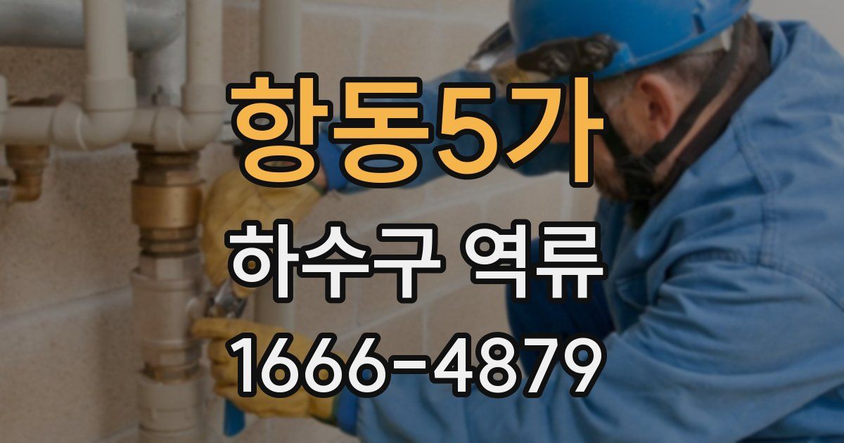 항동5가 하수구 역류