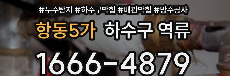 항동5가 하수구 역류