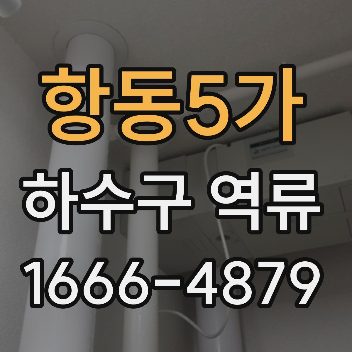 항동5가 하수구 역류