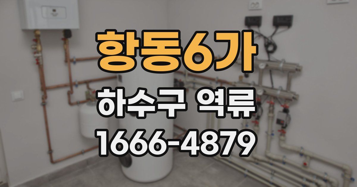 항동6가 하수구 역류