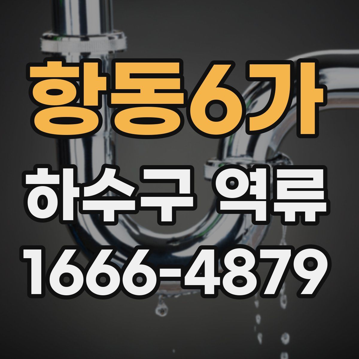 항동6가 하수구 역류
