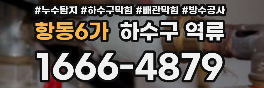 항동6가 하수구 역류