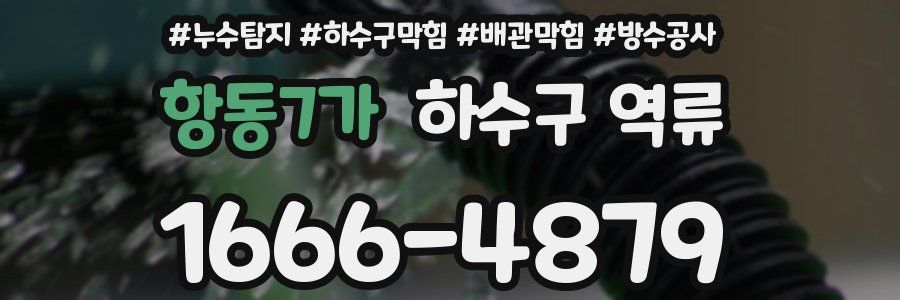 항동7가 하수구 역류